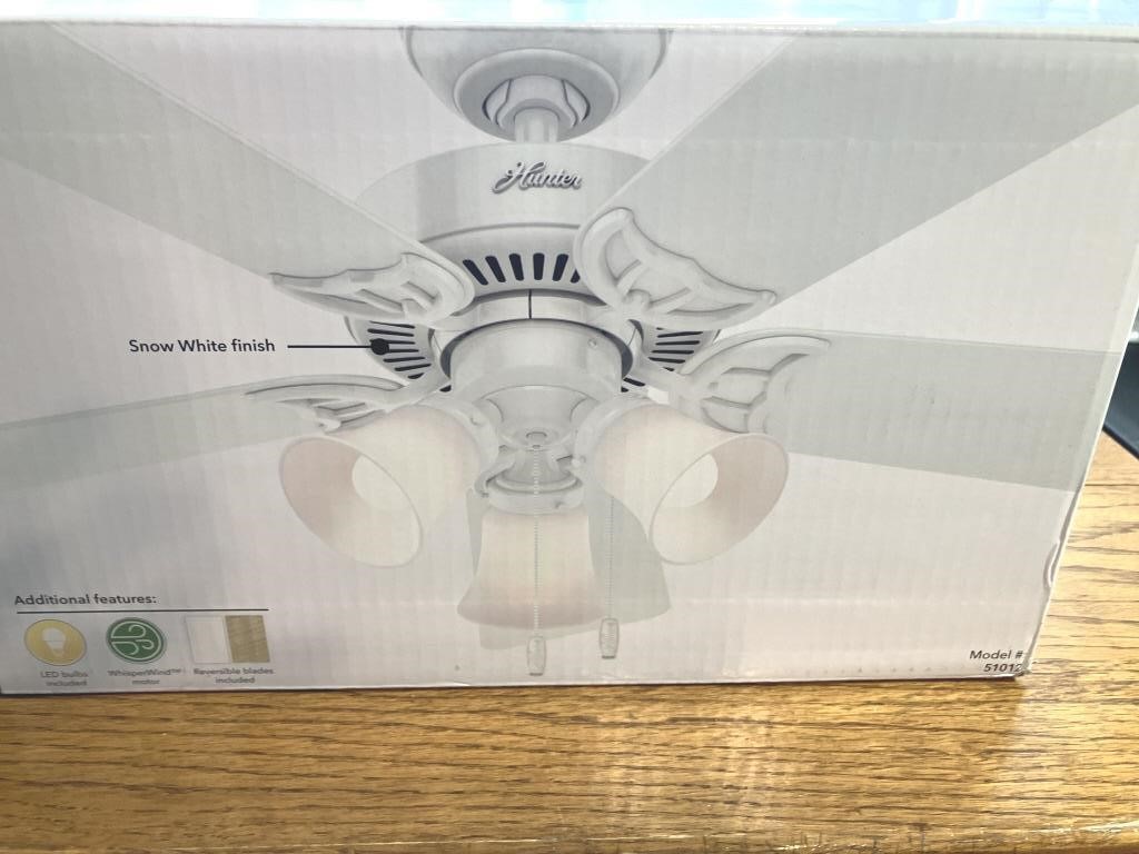 Hunter ceiling fan