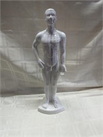 Male Chinese Acupuncture model