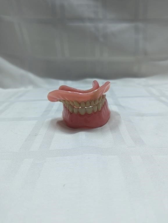 Salesman sample dental false teeth