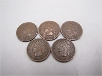 Lot of 5 Early 1900's Indian Head Pennies