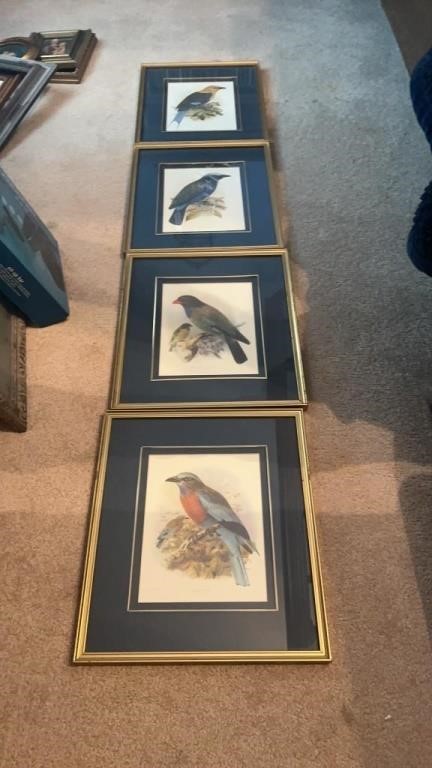 (7) framed bird prints, 13 x 15