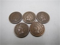 Lot of 5 Late 1800's Indian Head Pennies