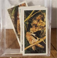 61 Woodland Wildlife OXO Cards