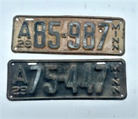 Minnesota license plates (1928,29)