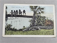 Vintage 1921 Postcard "Alligator Bait, Florida"