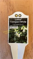 6" Lofos Compact white