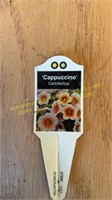 6" Cailbrachoa Cappuccino