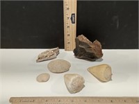 Rocks and Seashells