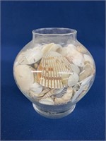 Vase with Seashells and Sand Dollars