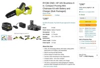 W1574  RYOBI Pruning Mini Chainsaw 6 18V Kit