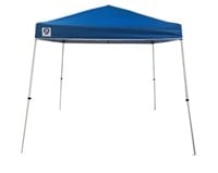 10ft. x 10ft. Instant canopy