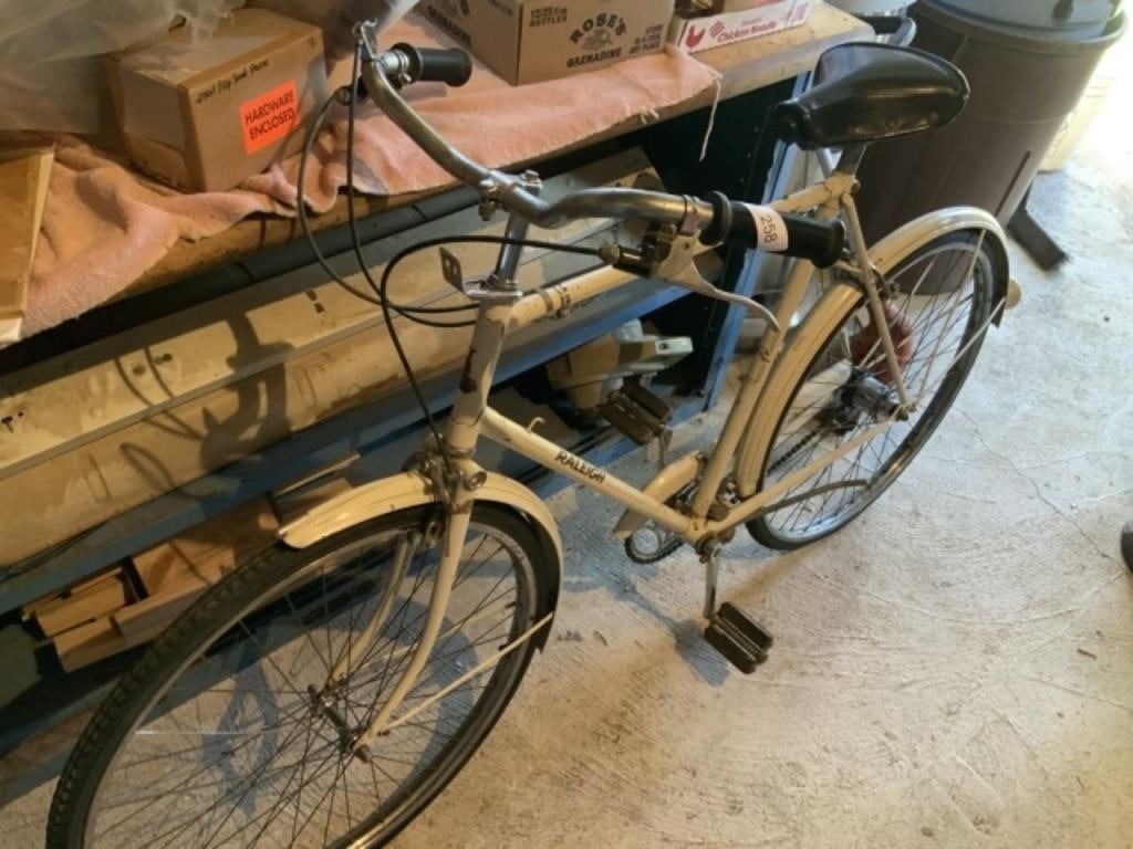Men's Raleigh Bicycle 24"