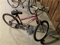 Roadmaster Girl's Bicycle, 14"