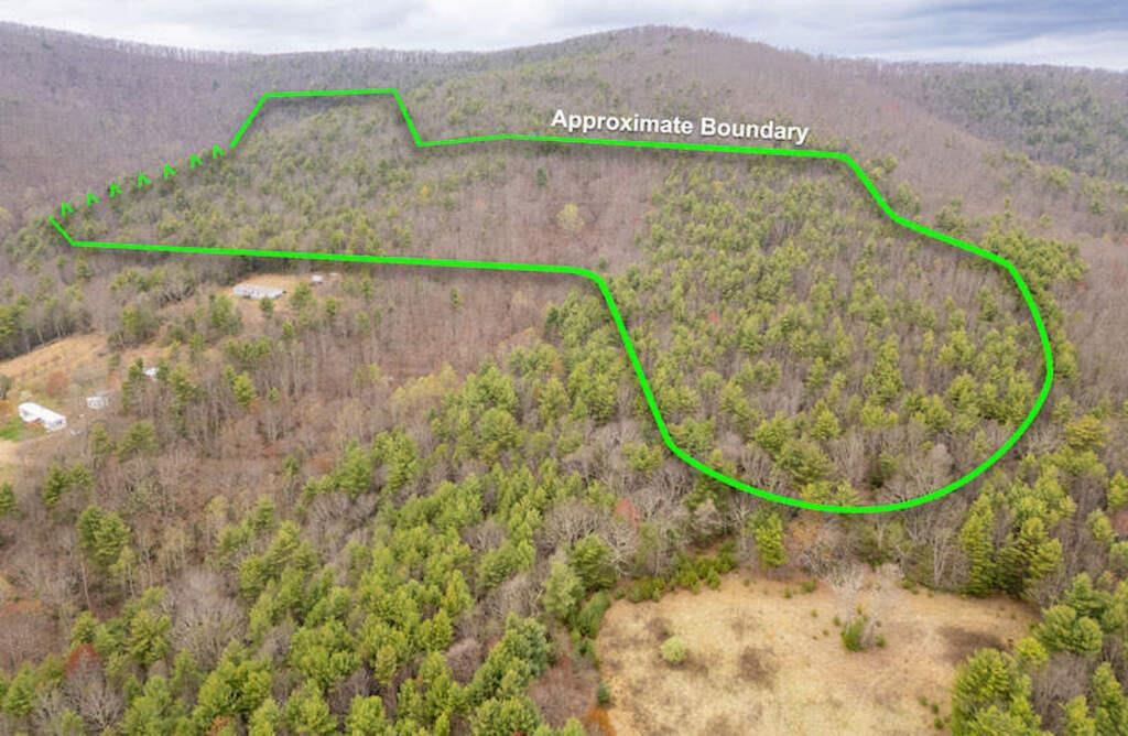 Large Wooded Tract of Land for Sale in Floyd VA
