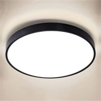 Modern Flush Mount LED Ceiling Light  24W