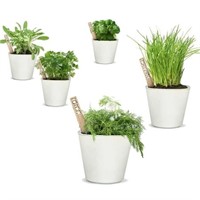 Window Garden Herbs Kit - Includes Seeds  Markers