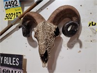 Decorative Ram Skull