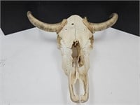 Cow Skull W/Bull Horns 26" Wide