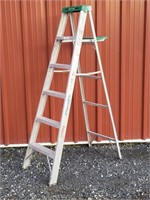 Werner 6 Ft Medium Duty Step Ladder