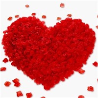 1000 Pcs Artificial Rose Petals for Valentine Day