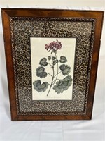 "Horse-shoe Geranium" Framed Floral Print