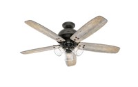 Indoor Ceiling Fan with Light and Remote Control