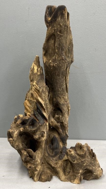 Weathered, Sculptural Root, Artistically Rendered