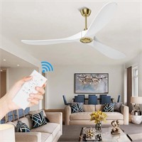 Outdoor Ceiling Fan 60 with Remote Control Modern