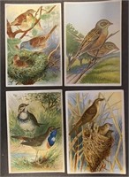 BIRDS: Rare German KAISER Trade Cards (1932)