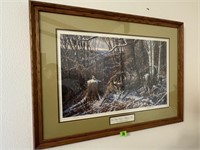 Oak Ridge Battle- Whitetail Deer