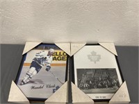 2 Photos of Toronto Maple Leafs