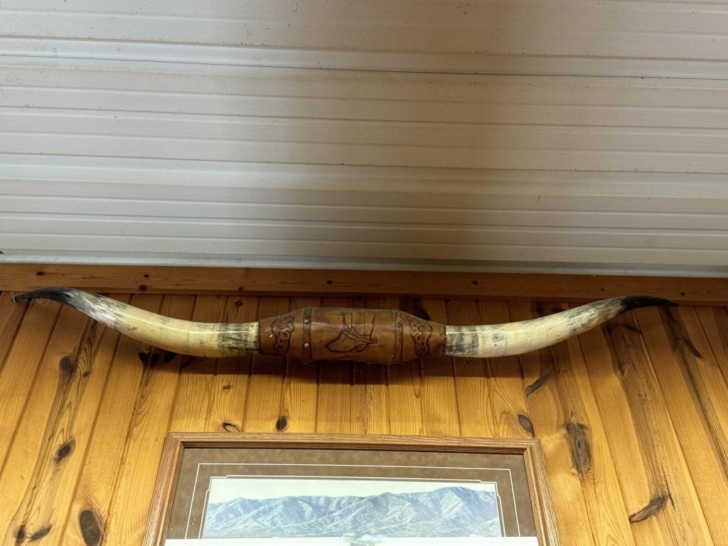 Longhorn Mount with Leather