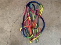 Multi Color Halters and Lead Rope