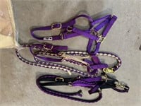 Purple Halters and Lead Ropes
