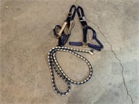 Blue and Cream Headstalls and Lead Ropes