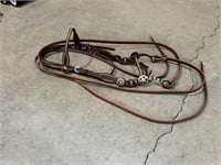 Headstall, Bit, and Reins