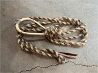 Bosal and reins