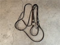 Headstall, Bit, and Reins