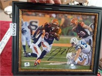 signed bengals picture