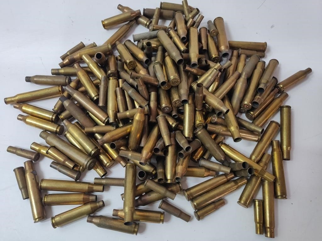 Bullet Shells