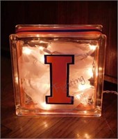 Illini University of Illinois handmade lighted