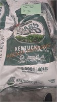 Pennington Grass Seed