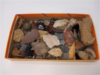Lot of Fossils & Artifacts
