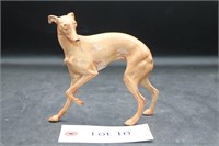 Coronet Greyhound Dog