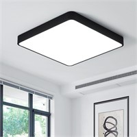 Ganeed 19.6 inch LED Ceiling Light 39W Black LED C