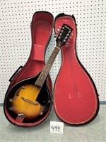 mandolin in case