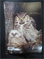 Vintage Great Horned Owl Poster 12" x 18"
