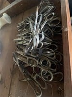 Approximately 30 pairs of chicken shears. Just