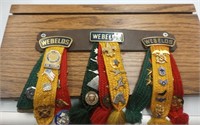 Webelos awards (approx 38 pins)