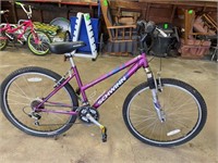 Schwinn womens 21sp mountain bicycle- good cond.